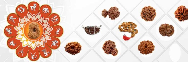 Twenty Mukhi Rudraksh