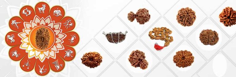 Twenty One Mukhi Rudraksh