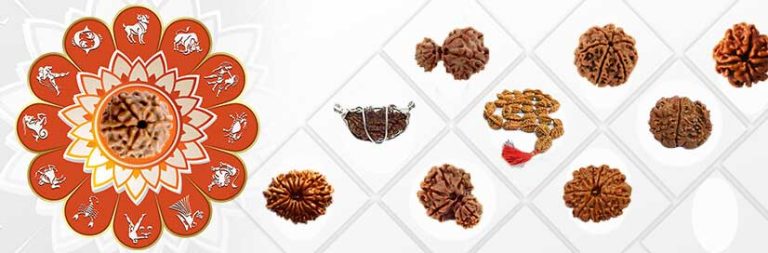 Six Mukhi Rudraksh